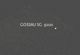 gossau.png